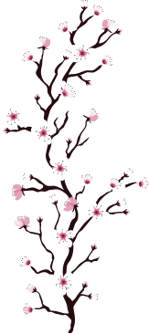 nouveau-massage-kobido-visage-bien-etre-a-perpignan-pyrennee-orientale-66000